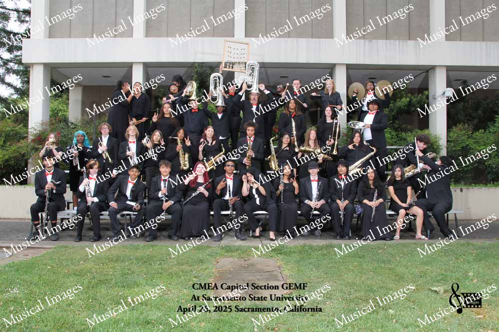 Musical Images